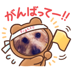 くうちゃん第2弾