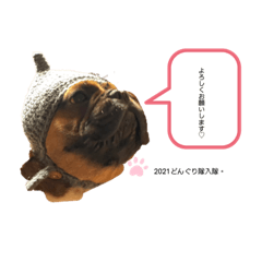 ふれんちぶるどっく