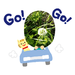 お世話になっております