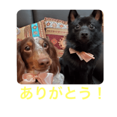 そらるく（使いやすい編）