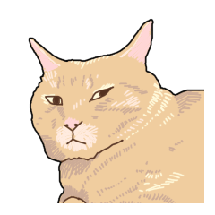 ゆるい雰囲気のねこ