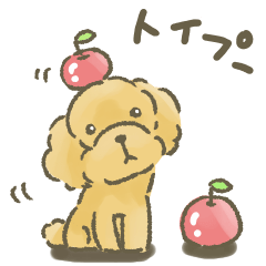 トイプードルだよ★