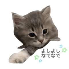 ロイさんの慰めスタンプ