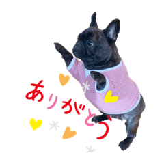 フレブルのあずきさん