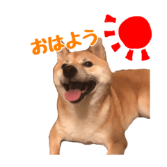 まゆたのスタンプ 2