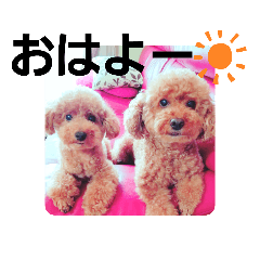 ココアトミルク