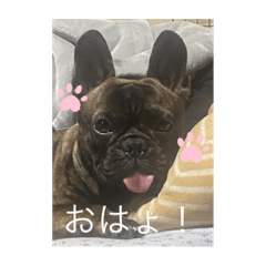 ノーノーのスタンプ