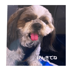 松の助は、頑張っています。