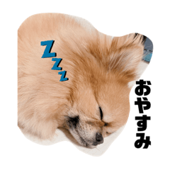 asuka_20220126131723