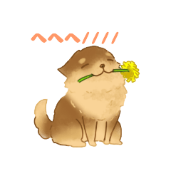 チワワに見えない。