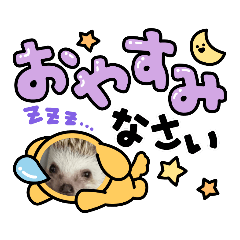 はるんおやすみ