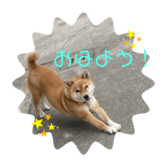 らんまるだよ！