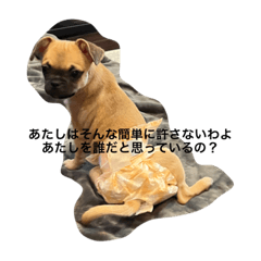 あたしよォん♡