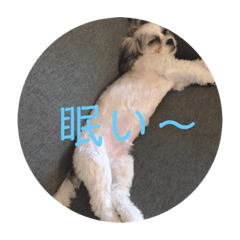 ピノスタンプ☺︎