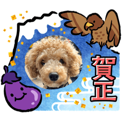 トイプ　ルーク日和