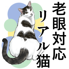 老眼対応！使えるカラフルリアル猫スタンプ