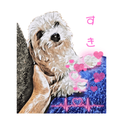 ポッくんキッズ　【チュナ犬】