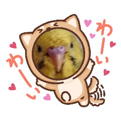 インコのきなこスタンプ1