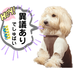 マルックスのとのまる