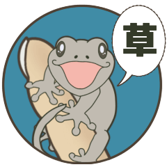 可愛い顔して毒舌なヤモリ＊意外と使える