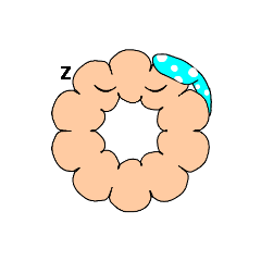 ぼく、どーなつ