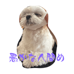 日常で使えるうどんシリーズ