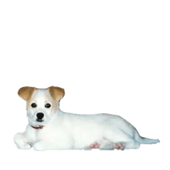 yunnchann(ゆんちゃん)part5