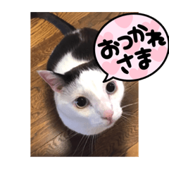 アルくんスタンプ!!!!