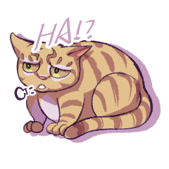 HYCHU家の食いしん坊猫兄妹