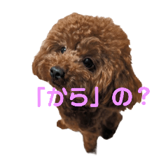 愛すべきからあげ