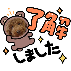 トイプードルのにこちゃん その2