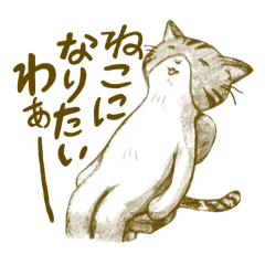 しま三毛猫のゾエ子