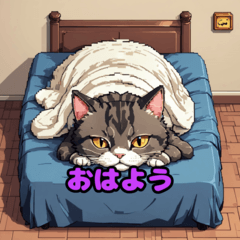 日常のねこの表情