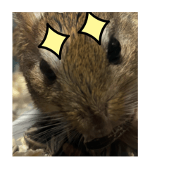 もちこスタンプ第3段