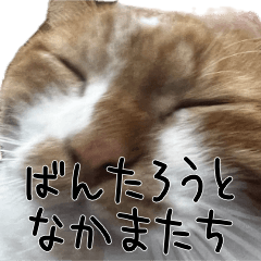 ばんたろうと仲間たち