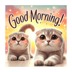 スコティッシュフォールドのきもち！！