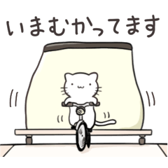 ゆるいねこ１