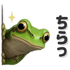 毎日使いやすい！可愛いカエル