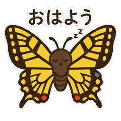 アゲハ蝶がやってきた！