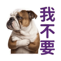 Maru BullDog sticker 2025
