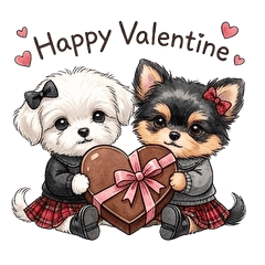 マルプーとチワワのバレンタイン