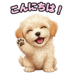 ミックス犬シリーズ マルプー53