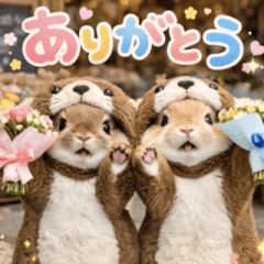 飛び出す♡着ぐるみうさちゃん
