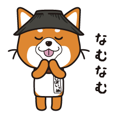 しばいっぬ①