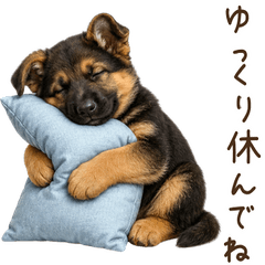一年中使える♪ジャーマンシェパード 子犬