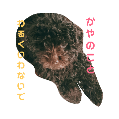 卵(ラン)ちゃんのスタンプ