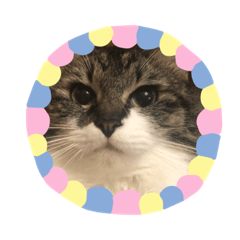 ココスタンプ^_^