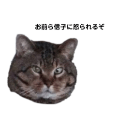 のぶちゃんスタンプ♡