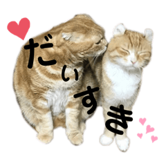 わたしたちのジュンミニ