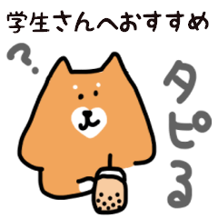 しばいぬはーと(学生さんへおすすめ)